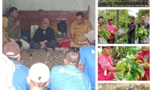 FunPic_20251231_170128801